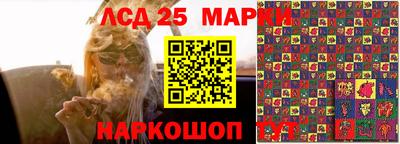 ПСИЛОЦИБИНОВЫЕ ГРИБЫ Можга