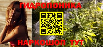 ПСИЛОЦИБИНОВЫЕ ГРИБЫ Можга