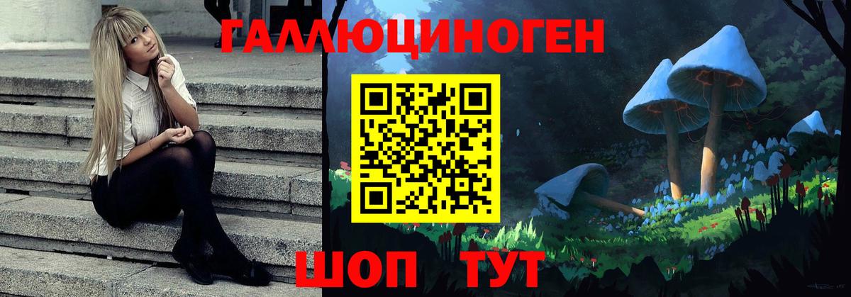 Псилоцибиновые грибы Psilocybine cubensis  Вход с VPN  Строитель 